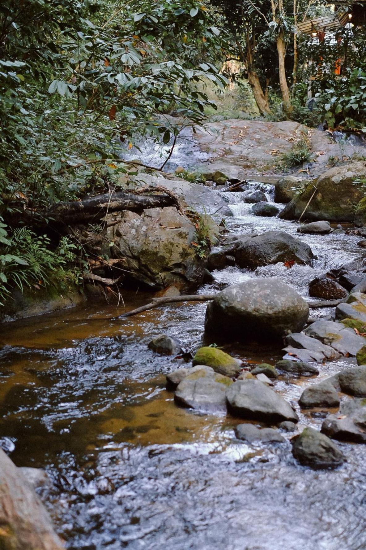 Bee Forest Ban Pok Nai 외부 사진
